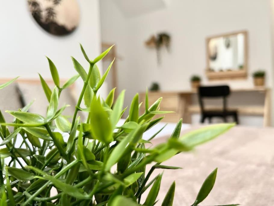 Apartamento Vive Zaragoza V Kültér fotó